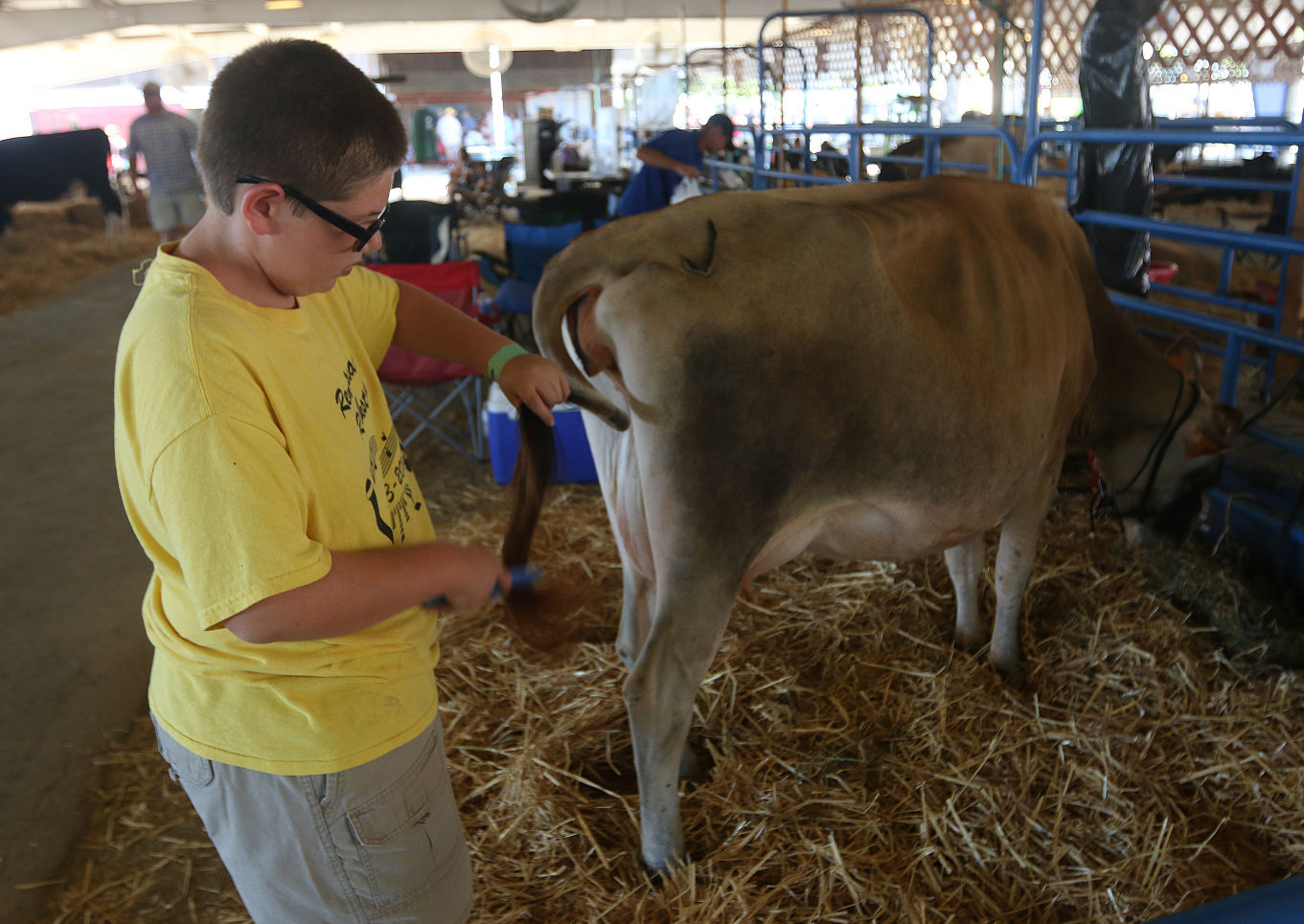 Second day of Kings fair Kids and cows